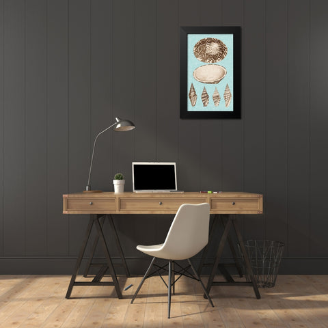 Sepia And Aqua Shells III Black Modern Wood Framed Art Print by Vision Studio