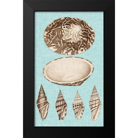 Sepia And Aqua Shells III Black Modern Wood Framed Art Print by Vision Studio