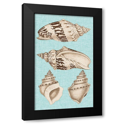 Sepia And Aqua Shells IV Black Modern Wood Framed Art Print by Vision Studio