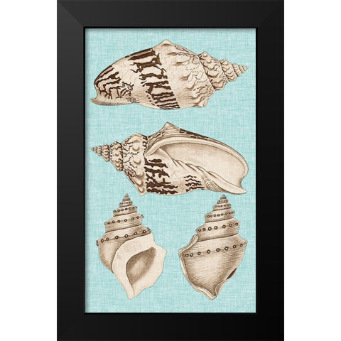 Sepia And Aqua Shells IV Black Modern Wood Framed Art Print by Vision Studio