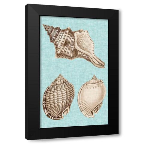 Sepia And Aqua Shells V Black Modern Wood Framed Art Print with Double Matting by Vision Studio