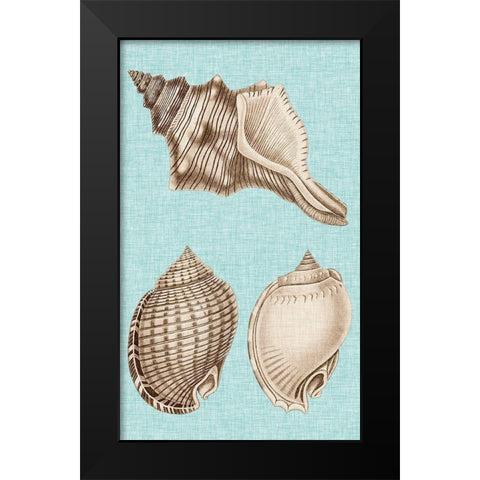 Sepia And Aqua Shells V Black Modern Wood Framed Art Print by Vision Studio