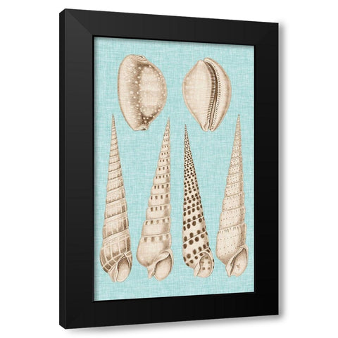 Sepia And Aqua Shells VI Black Modern Wood Framed Art Print with Double Matting by Vision Studio
