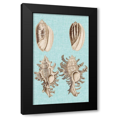 Sepia And Aqua Shells VII Black Modern Wood Framed Art Print with Double Matting by Vision Studio