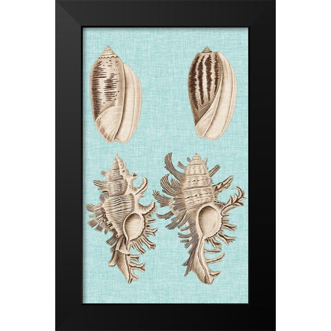 Sepia And Aqua Shells VII Black Modern Wood Framed Art Print by Vision Studio