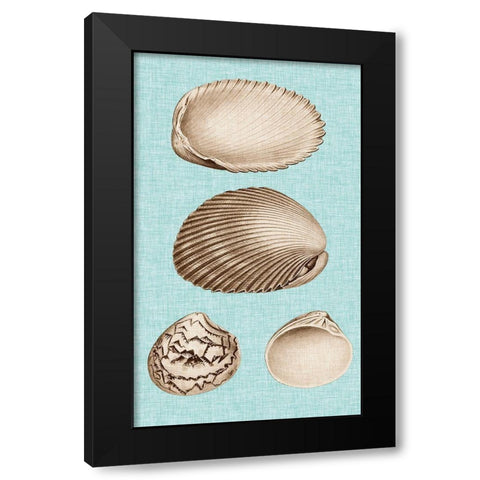 Sepia And Aqua Shells VIII Black Modern Wood Framed Art Print by Vision Studio