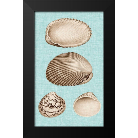 Sepia And Aqua Shells VIII Black Modern Wood Framed Art Print by Vision Studio