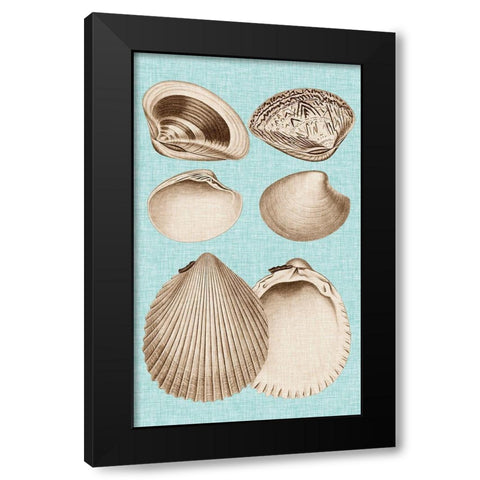 Sepia And Aqua Shells IX Black Modern Wood Framed Art Print with Double Matting by Vision Studio