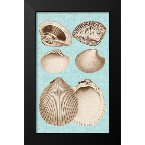 Sepia And Aqua Shells IX Black Modern Wood Framed Art Print by Vision Studio