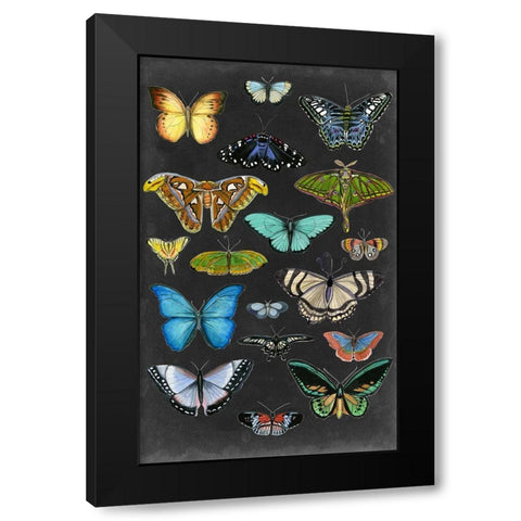 Graphic Butterfly Taxonomy I Black Modern Wood Framed Art Print by McCavitt, Naomi