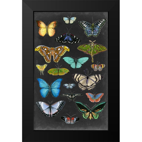 Graphic Butterfly Taxonomy I Black Modern Wood Framed Art Print by McCavitt, Naomi