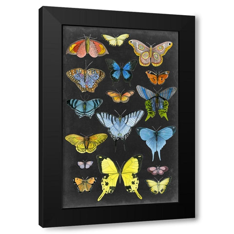 Graphic Butterfly Taxonomy II Black Modern Wood Framed Art Print by McCavitt, Naomi