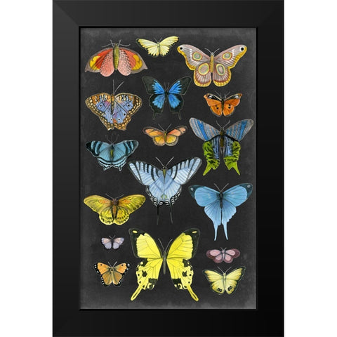 Graphic Butterfly Taxonomy II Black Modern Wood Framed Art Print by McCavitt, Naomi