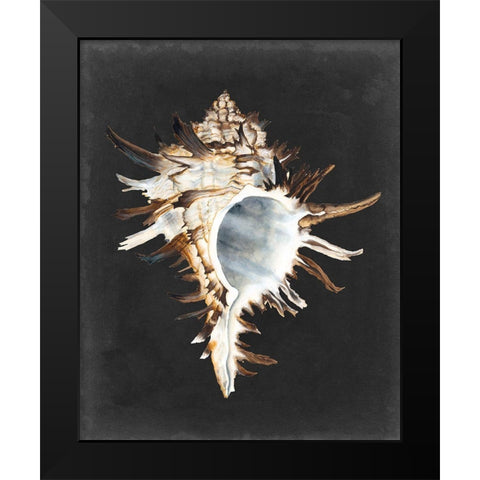 Graphic Black Murex Black Modern Wood Framed Art Print by Willett, Michael
