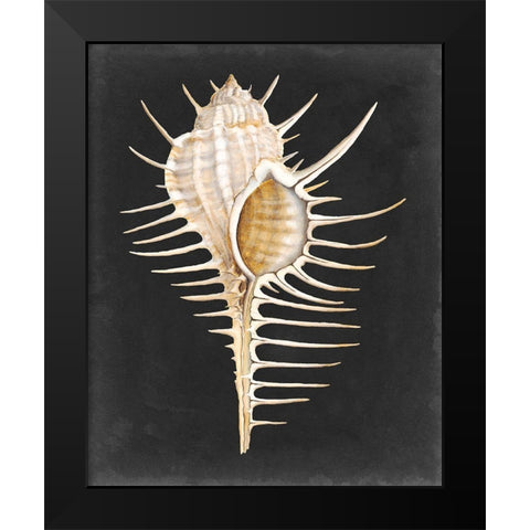 Graphic Spiny Murex Black Modern Wood Framed Art Print by Willett, Michael