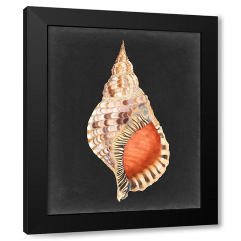 Graphic Grand Triton Black Modern Wood Framed Art Print by Willett, Michael