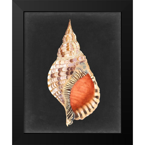 Graphic Grand Triton Black Modern Wood Framed Art Print by Willett, Michael
