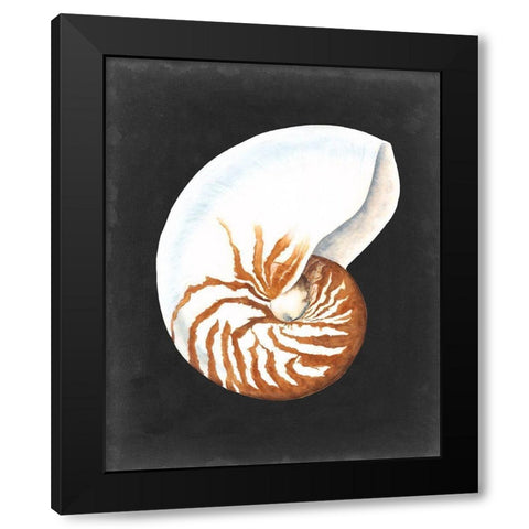 Graphic Nautilus Black Modern Wood Framed Art Print by Willett, Michael