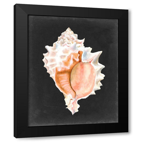 Graphic Pink Murex Black Modern Wood Framed Art Print with Double Matting by Willett, Michael