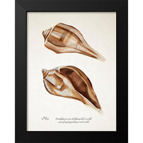 Sienna Shell Collector III Black Modern Wood Framed Art Print by Warren, Annie