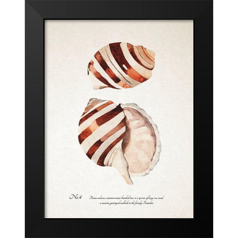 Sienna Shell Collector IV Black Modern Wood Framed Art Print by Warren, Annie