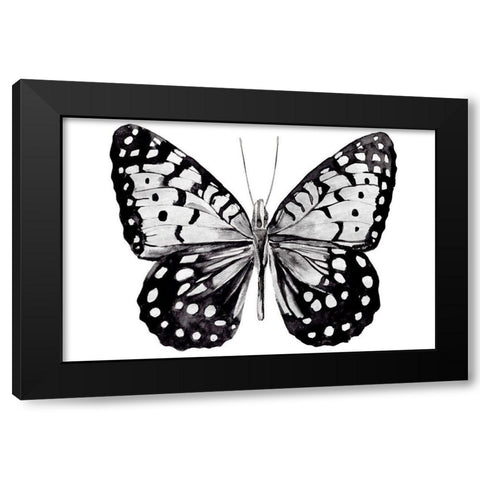 Monochrome Wings Whole I Black Modern Wood Framed Art Print by Warren, Annie