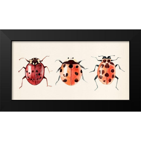 Ladybug Display I Black Modern Wood Framed Art Print by Warren, Annie