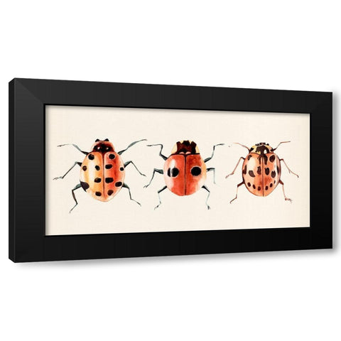 Ladybug Display II Black Modern Wood Framed Art Print with Double Matting by Warren, Annie
