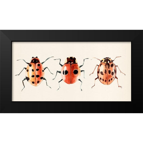 Ladybug Display II Black Modern Wood Framed Art Print by Warren, Annie