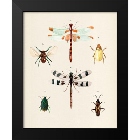 Insect Varieties II Black Modern Wood Framed Art Print by Warren, Annie