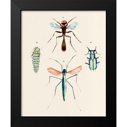 Insect Varieties III Black Modern Wood Framed Art Print by Warren, Annie