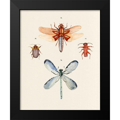 Insect Varieties IV Black Modern Wood Framed Art Print by Warren, Annie