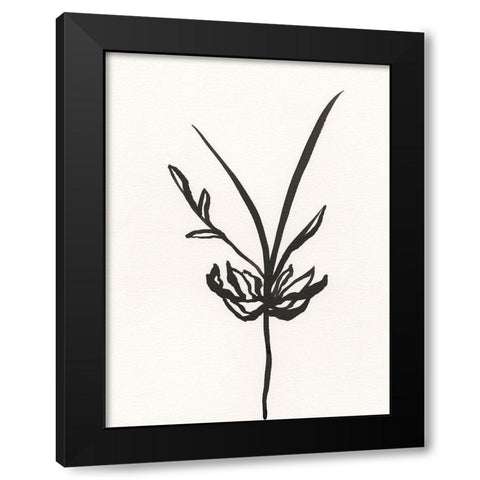 Ink Botanical Sketch I Black Modern Wood Framed Art Print with Double Matting by Holland, J.