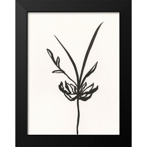 Ink Botanical Sketch I Black Modern Wood Framed Art Print by Holland, J.