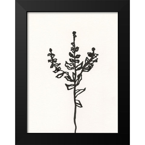 Ink Botanical Sketch II Black Modern Wood Framed Art Print by Holland, J.