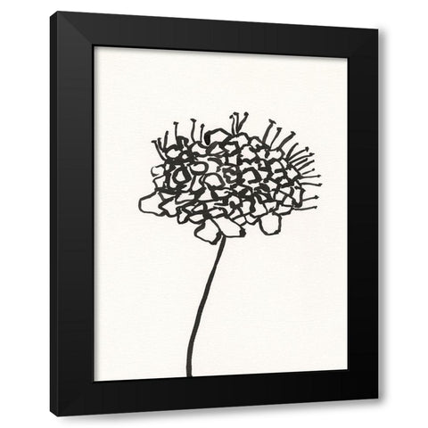 Ink Botanical Sketch V Black Modern Wood Framed Art Print with Double Matting by Holland, J.