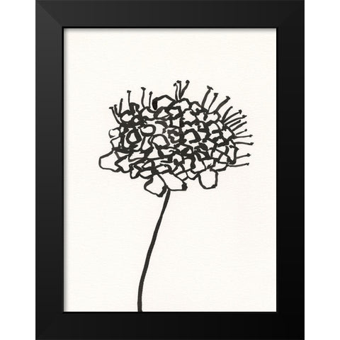 Ink Botanical Sketch V Black Modern Wood Framed Art Print by Holland, J.