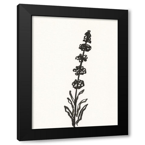 Ink Botanical Sketch VII Black Modern Wood Framed Art Print with Double Matting by Holland, J.