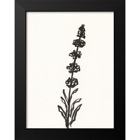 Ink Botanical Sketch VII Black Modern Wood Framed Art Print by Holland, J.