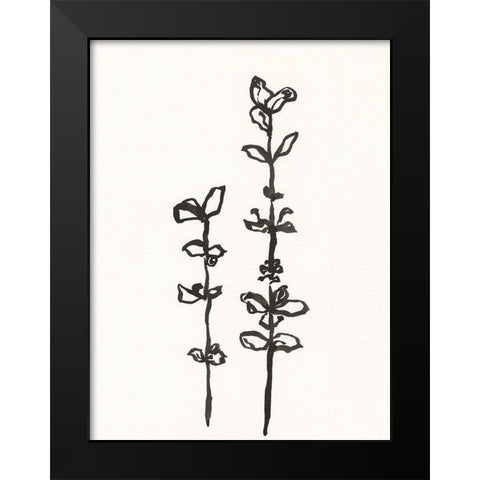 Ink Botanical Sketch VIII Black Modern Wood Framed Art Print by Holland, J.