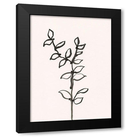 Ink Botanical Sketch X Black Modern Wood Framed Art Print with Double Matting by Holland, J.