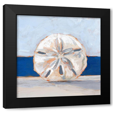 Sand Dollar By the Sea Black Modern Wood Framed Art Print with Double Matting by Harper, Ethan