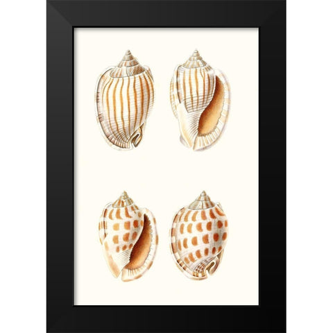Lamarck Shells I Black Modern Wood Framed Art Print by Lamarck
