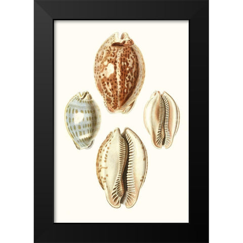 Lamarck Shells III Black Modern Wood Framed Art Print by Lamarck