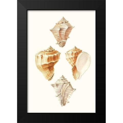 Lamarck Shells VI Black Modern Wood Framed Art Print by Lamarck