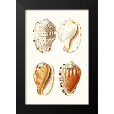Lamarck Shells VII Black Modern Wood Framed Art Print by Lamarck