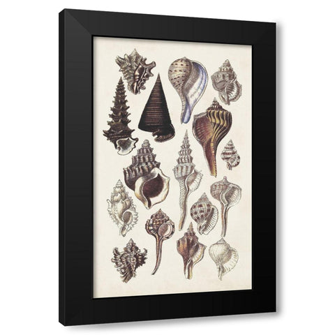 Seashell Array I Black Modern Wood Framed Art Print by Sowerby, G.B.