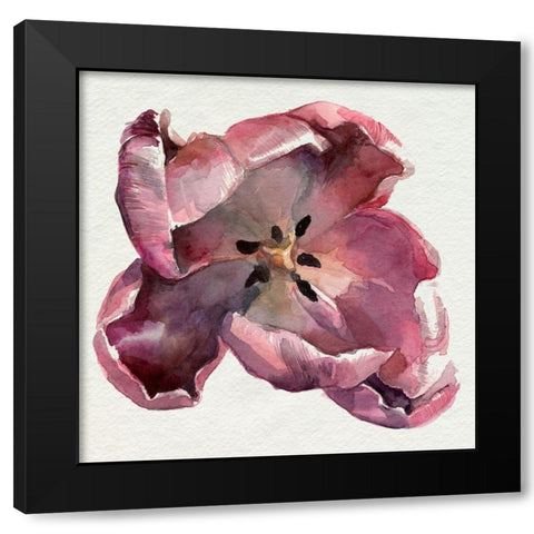 Susies Tulips I Black Modern Wood Framed Art Print with Double Matting by Parker, Jennifer Paxton