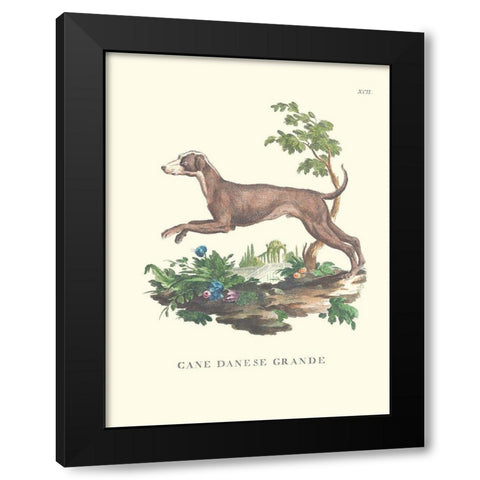 French Dogs I Black Modern Wood Framed Art Print by Unknown