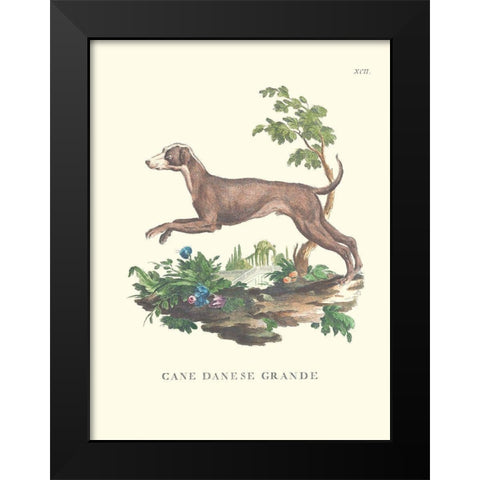 French Dogs I Black Modern Wood Framed Art Print by Unknown